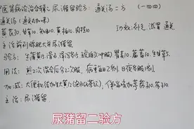 肾病论治:尿潴留二验方视频封面