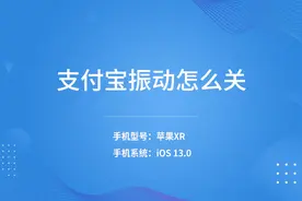 支付宝震动怎么关