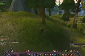 魔兽世界怀旧服一区祈福联盟人类光头男盗贼洛克莫丹任务第一期