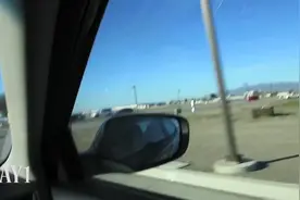 365天的小狗-一只科吉小狗长大了！