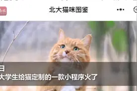 北大“猫咪图鉴”小程序为燕园喵录档案：叫声、证件照齐全视频封面