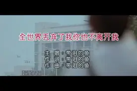 带泪的鱼-全世界丢弃了我你也不离开我 国语 流行视频封面
