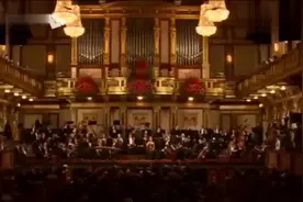 维也纳金色大厅演奏《枉凝眉》，所有乐器合奏，超级震撼