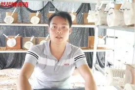黄脚胡蜂的野化方法