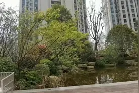 瓯江路高端住宅
《中梁•滨江壹号》
89-103-109-127-139平层
158-168错跃#楼市有料 图片