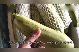 西葫芦的内瓤到底能不能吃，这么多年我都理解错了，打开看看视频封面