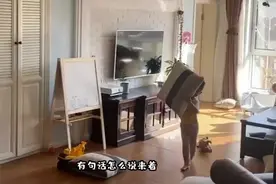 抗肺炎“硬核”宣传语 拿给不听话的长辈看看视频封面