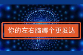 测试你是左脑人还是右脑人，很准的