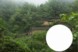 纯粮放养土鸡蛋蛋黄圆润饱满，呈浅玉米黄，自然鲜香滑嫩视频封面