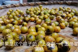 衡阳盛产名不经传，用它煲水喝止咳化痰，衡阳人都这么吃