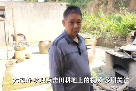 整片成株的养心草太难晒干了，只好切成小段重新晒