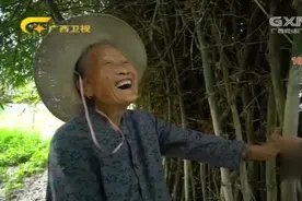 丹竹不仅可以制成解暑降火的良药，还可以烹饪出美味的佳肴视频封面