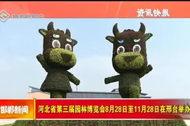 河北省第三届园林博览会8月28日至11月28日在邢台举办视频封面