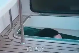 袁华名场面！潮汐海灵的梗原来是从这来的。简直要笑死我了视频封面