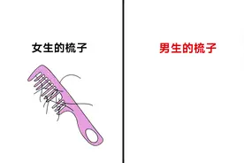 男、女“梳子”的区别，看完男生的我笑了！果然不一样视频封面