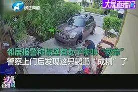 邻居家里总是传来“女子”尖叫救命，警察调查竟是.....视频封面