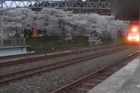 日本高铁的美女乘务员，光是这热情的服务，就值得学习！视频封面