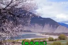 八年级下：朗读视频9《桃花源记》,帮助同学们在家学习。