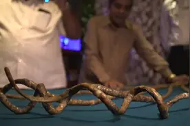 吉尼斯：老人指甲获得吉尼斯认证，将其剪掉后，结果意外发生！视频封面