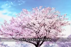 《fate—天之杯》型月重工最黄暴的路线，优秀的粉丝向作品