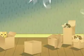 搞笑动物，当猫咪看到龙虾时会有什么反应！视频封面