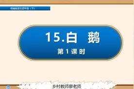四年级下册语文《15.白鹅》第一课时视频封面