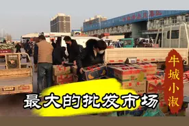河北邢台终于解封了，实拍当地最大的批发市场，这场面太震撼了？视频封面