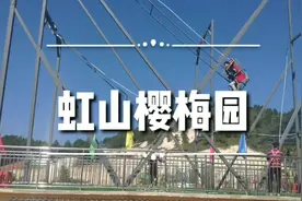 网红打卡好去处——泉州洛江虹山风景区：樱梅园视频封面