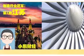 中国经济看江苏，看这些江苏制造业冠军企业有多牛，国家工业基石视频封面