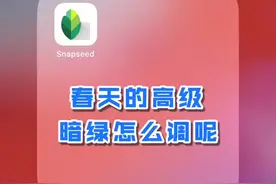 Snapseed手机修图：春天的高级暗绿色怎么调呢？