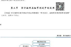 审计第四章第三节细节测试视频封面