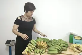 小郭今天给大家介绍芭蕉小米蕉香蕉的区别，有不足的多指教。视频封面