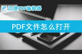 办公小白必学之PDF文件打开