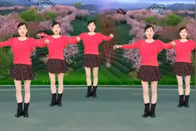 广场舞《酒醉的蝴蝶》网红版，32步有教学图片