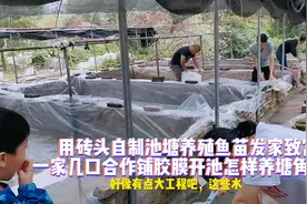 农村用砖头自制池塘养殖鱼苗发家致富，看怎样铺胶膜开池养塘角鱼视频封面
