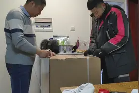 实测400元全自动洗衣机，双十一网上购物到底能不能买视频封面