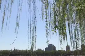 清明 一杯杏花酒，辗转思故人视频封面