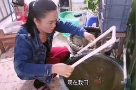 惠姐亲试两个鱼缸共用一套过滤系统，既简单又实用关键还省钱。