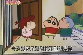 蜡笔小新：摄影机看到了一切视频封面