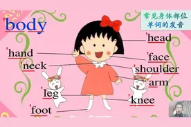 常见身体部位单词发音，零基础用音标发音。家长和宝宝都能学会