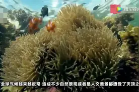 全球即将消失的10大美景，再过几年也许就看不到了视频封面