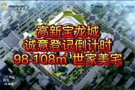 #幸福里讲解房产干货 高新宝龙城又火了
全新8⃣️栋9⃣️栋
  火爆诚意登记️
最后2栋，售图片