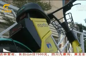 南宁：本土共享电动助力车今日上线，最高时速18公里视频封面