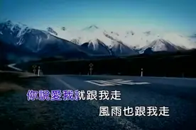 爱我就跟我走：你说爱我就跟我走 风雨也跟我走