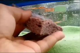 汽车玻璃风挡车贴怎么去掉——简单视频封面