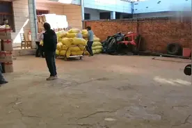 广东东莞：装车工一天800元工资，当天结工资，个个卖力干视频封面
