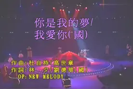 刘德华94演唱会之《我爱你》，太有节奏感了，帅呆了