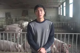 新手养猪户注意了，用这个方法喂猪，小猪出生6个月就可以出栏视频封面