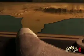 丝绸之路全路线视频封面