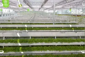 蔬菜住进玻璃大阳房 春耕新姿势了解一下视频封面